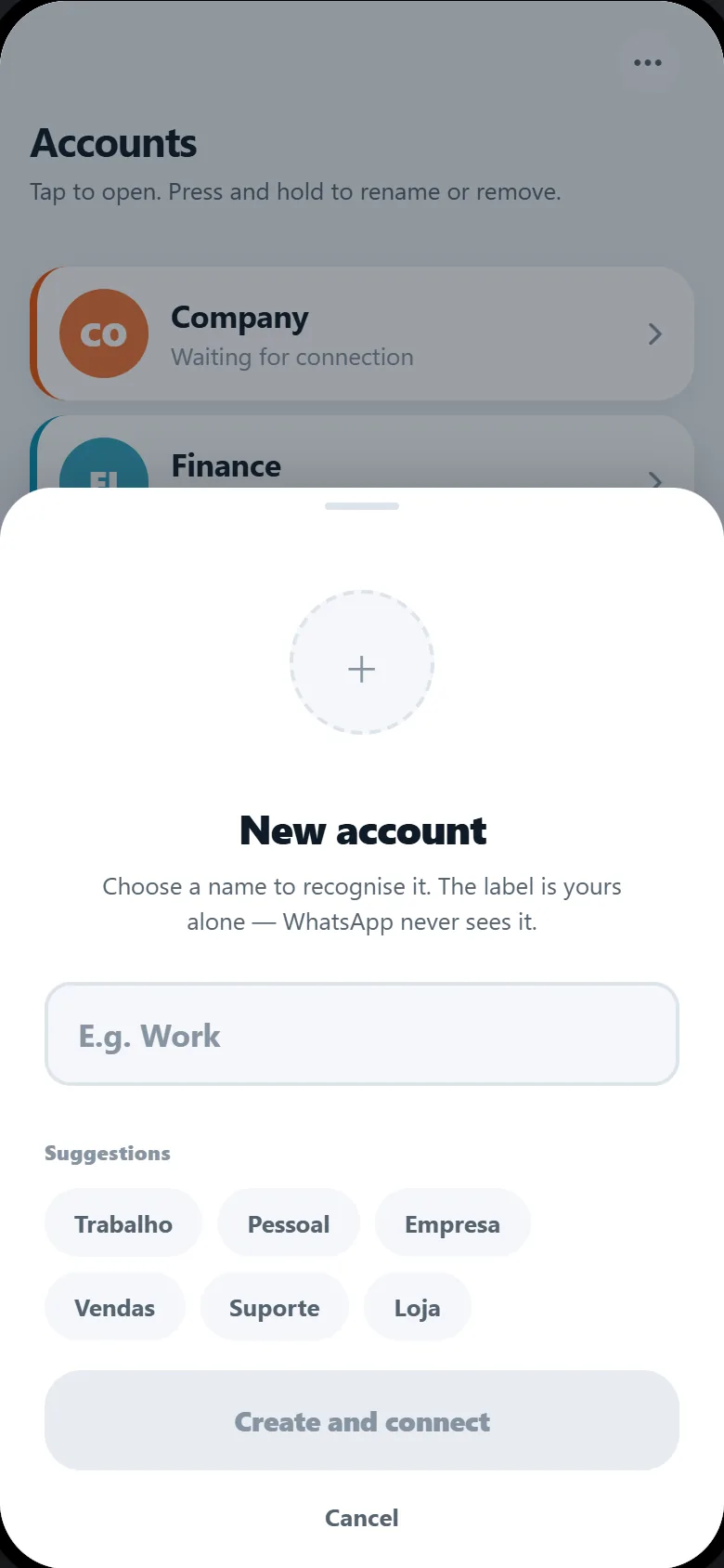 ZappyDue new account screen: a field to name the account, with name suggestions below.